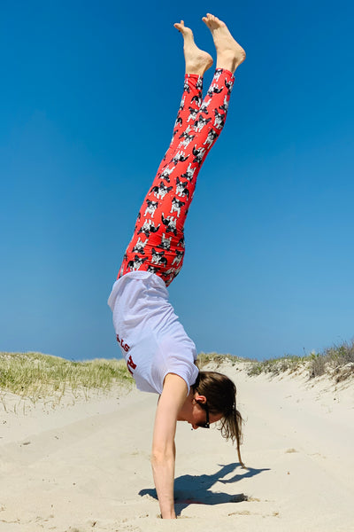 Coral Boston Terrier French Bulldog Print CURVY SIZE Leggings