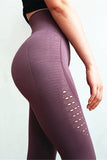 Mesh Seamless Workout Compression Leggings