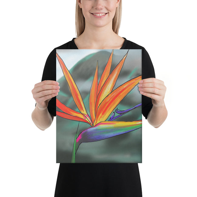 Canvas