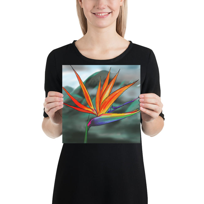 Fine Art Print