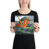 Fine Art Print
