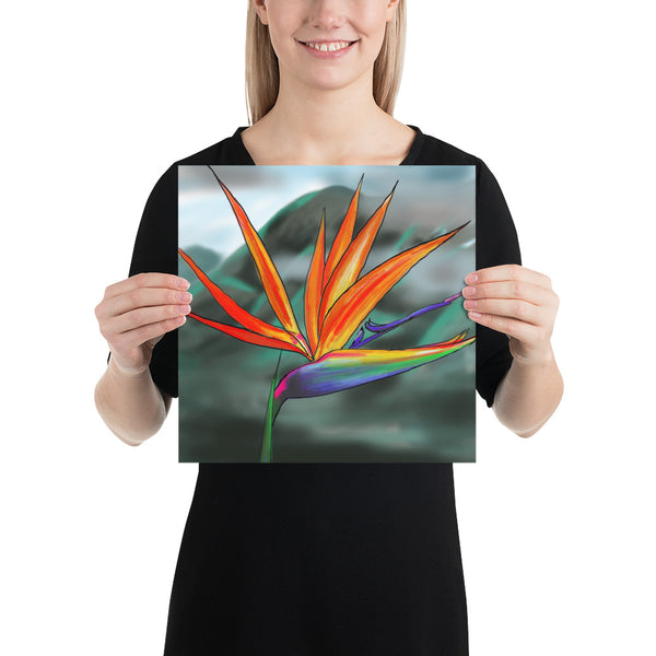 Fine Art Print