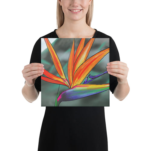 Canvas