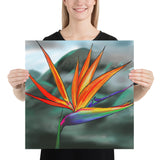 Fine Art Print