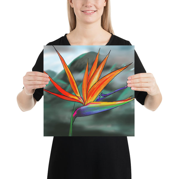 Fine Art Print